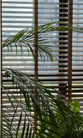 Blinds service